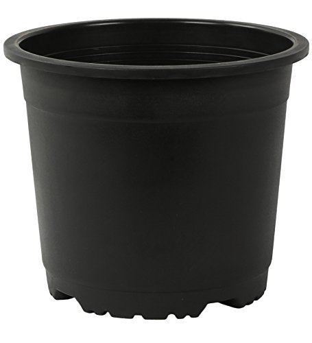 6 inch Terracotta plastic pot