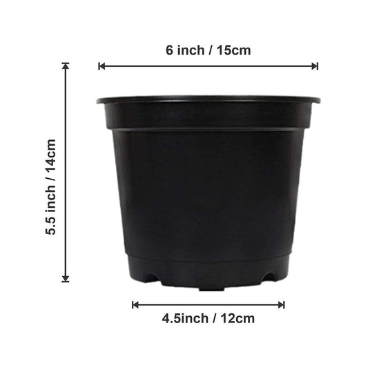 6 inch Terracotta plastic pot