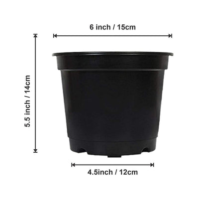 6 inch Terracotta plastic pot