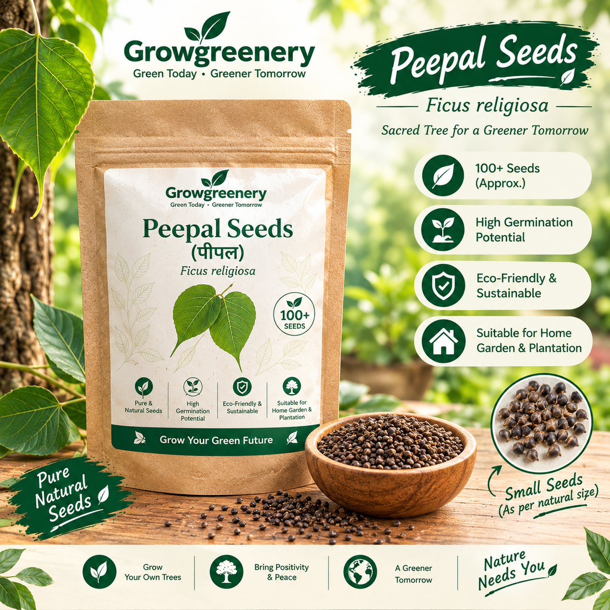 Peepal Seeds (Ficus religiosa) ā Sacred Fig Tree Seeds for Garden & Plantation