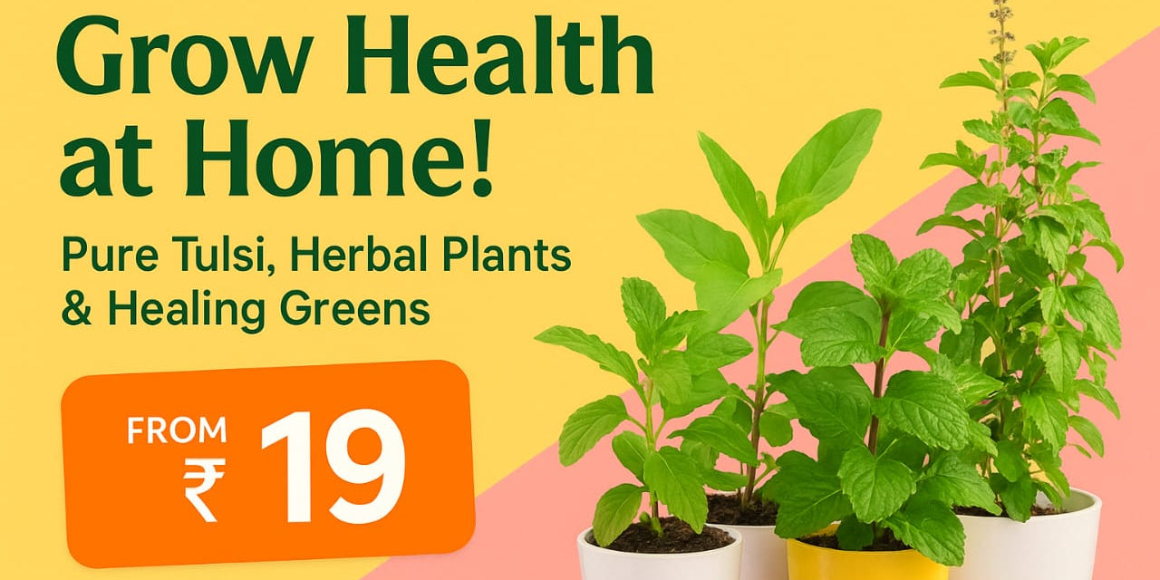 Promotional banner for pure tulsi, herbal plants, and healing greens with potted plants on a colorful background.