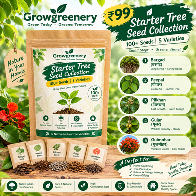 Family Tree Seed Starter Kit | 100+ Indian Tree Seeds