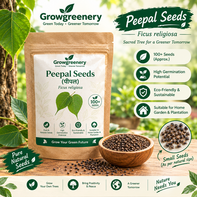 Peepal Seeds (Ficus religiosa) – Sacred Fig Tree Seeds for Garden & Plantation