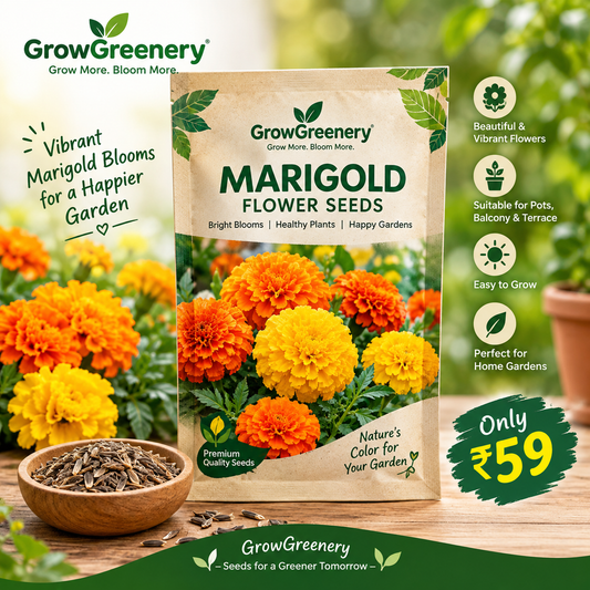 Marigold Flower Seeds for Home Garden, Balcony & Terrace