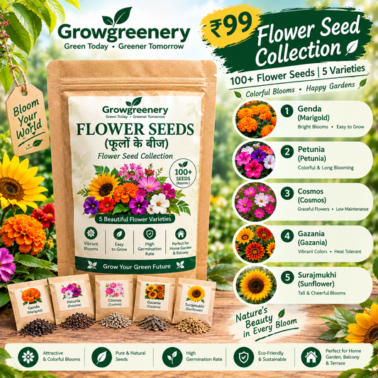 Flower Seed Collection 5 Varieties | 100+ Seeds – GrowGreenery