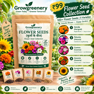 Flower Seed Collection 5 Varieties | 100+ Seeds – GrowGreenery
