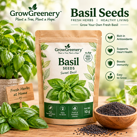 Basil Seeds for Home Gardening | Sweet Basil Seeds – GrowGreenery